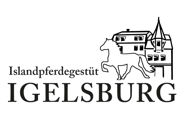 20210123-hof-islandpferdgestuet-igelsburg